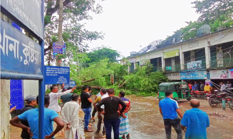 দৌলতপুর থানা কমপ্লেক্সের কৃষ্ণচূড়া গাছ উপড়ে আহত ৩