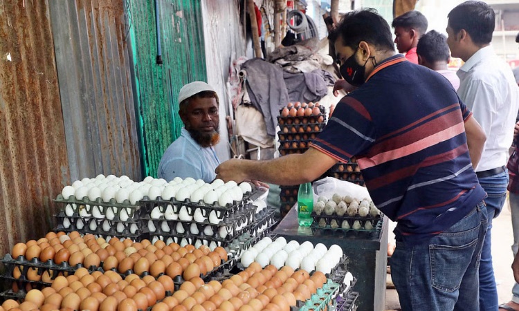 আমদানির খবরে কিছুটা কমেছে ডিমের দাম