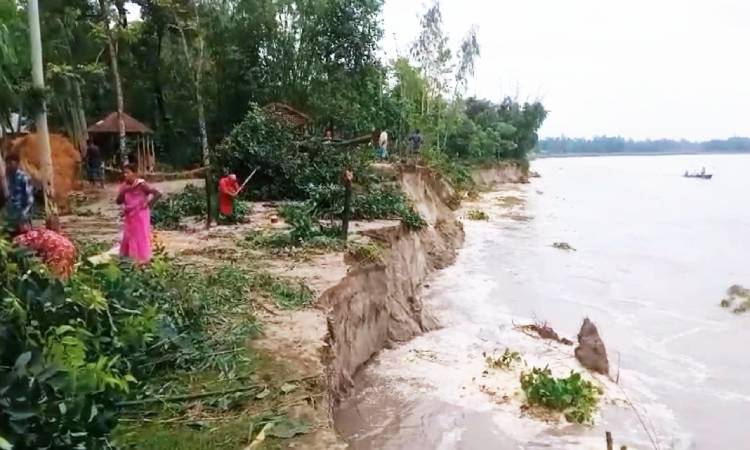 কুড়িগ্রামে দু’দিনে শতাধিক বিঘা জমি ও বসতভিটা নদী গর্ভে বিলীন