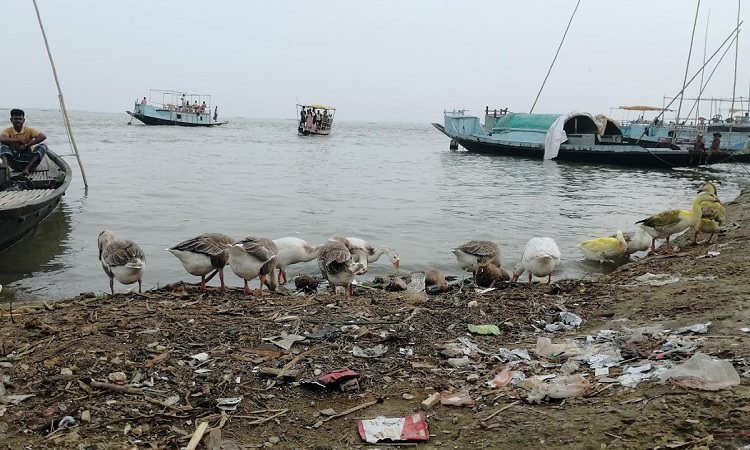 বাড়ছে হাওরকেন্দ্রিক পর্যটন, প্রভাব পড়ছে পরিবেশে