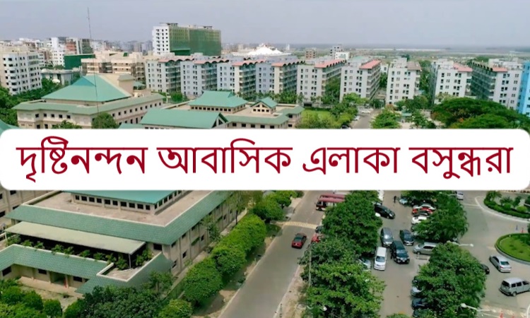 বসুন্ধরা আবাসিক এলাকা, বাংলাদেশের সর্ববৃহৎ এবং একমাত্র স্মার্ট সিটি