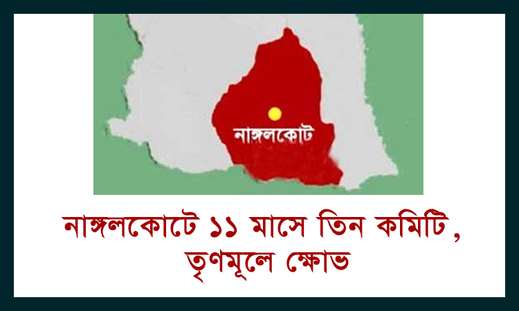 নাঙ্গলকোট উপজেলা আওয়ামী লীগে ১১ মাসে তিন কমিটি, তৃণমূলে ক্ষোভ