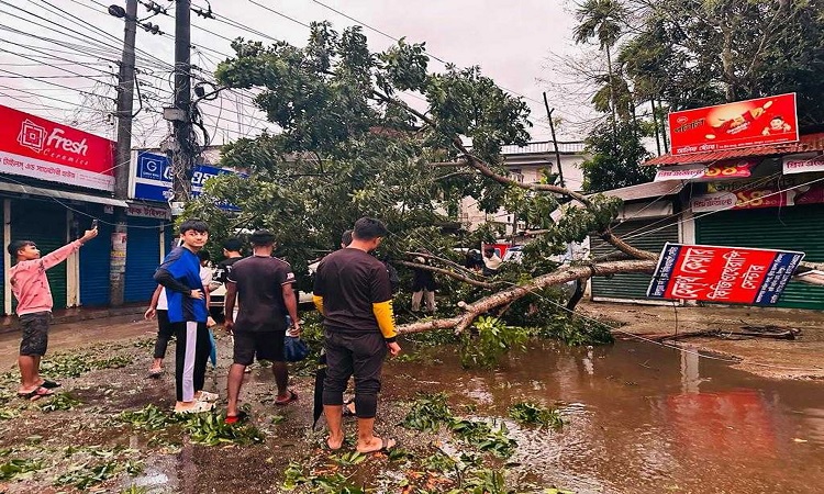 ঘূর্ণিঝড় ‘মিধিলি’ প্রাণ কেড়ে নিল ৭ জনের