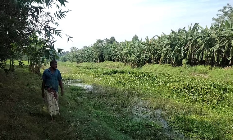 মহেশপুর সীমান্তে বাংলাদেশি যুবকের লাশ উদ্ধার