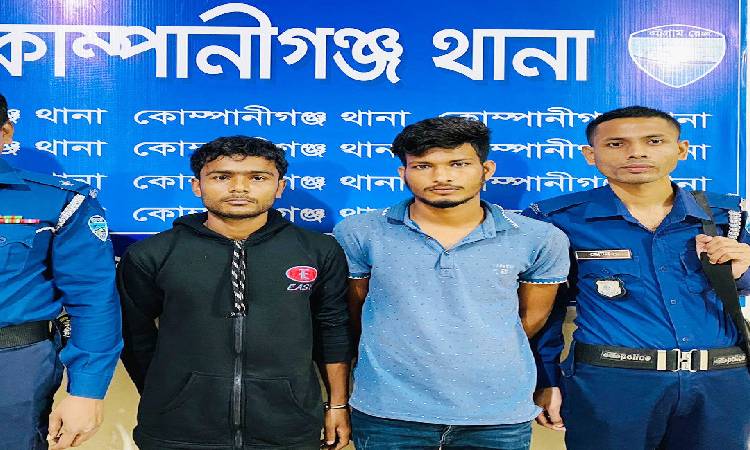 কোম্পানীগঞ্জে কিশোরীকে গণধর্ষণের ঘটনায় গ্রেফতার ২
