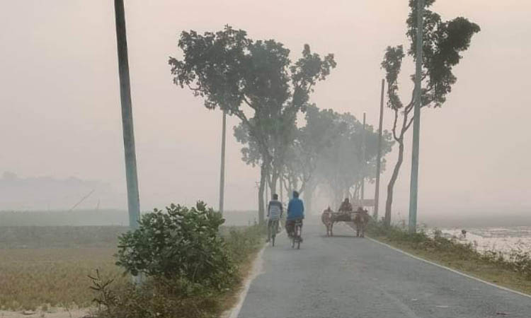 হিম বাতাসে চুয়াডাঙ্গায় বাড়ছে শীতের তীব্রতা