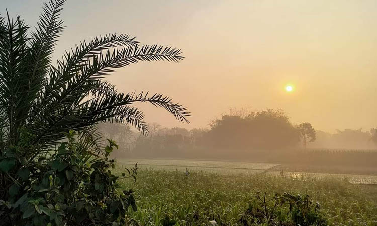 চুয়াডাঙ্গায় সূর্যের দেখা মিললেও কমেনি শীতের তীব্রতা