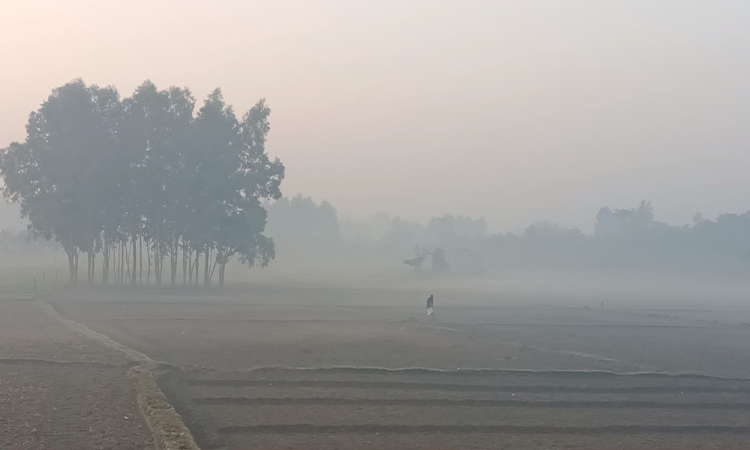 উত্তরের জেলা পঞ্চগড়ে আবারও ঝেঁকে বসেছে শীত