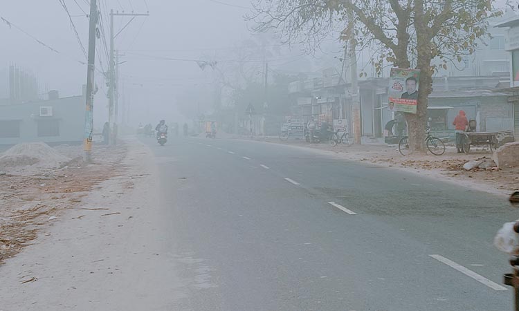 শীতে কাঁপছে ঘন কুয়াশায় মোড়ানো চুয়াডাঙ্গা