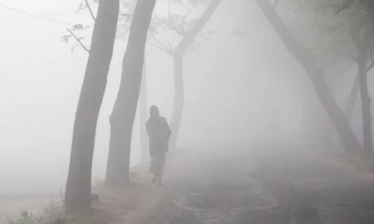 শৈত্যপ্রবাহ নিয়ে দুঃসংবাদ দিলো আবহাওয়া অধিদফতর