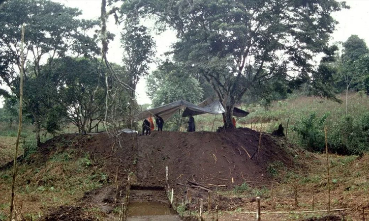 আমাজনে ৩ হাজার বছরের পুরোনো শহরের সন্ধান পেয়েছে বিজ্ঞানীরা