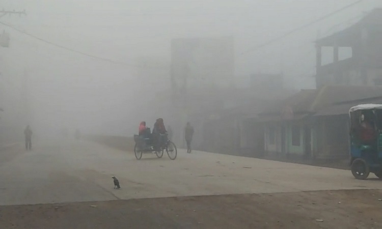 শীতের তীব্রতা আরও বাড়বে, থাকবে কুয়াশা