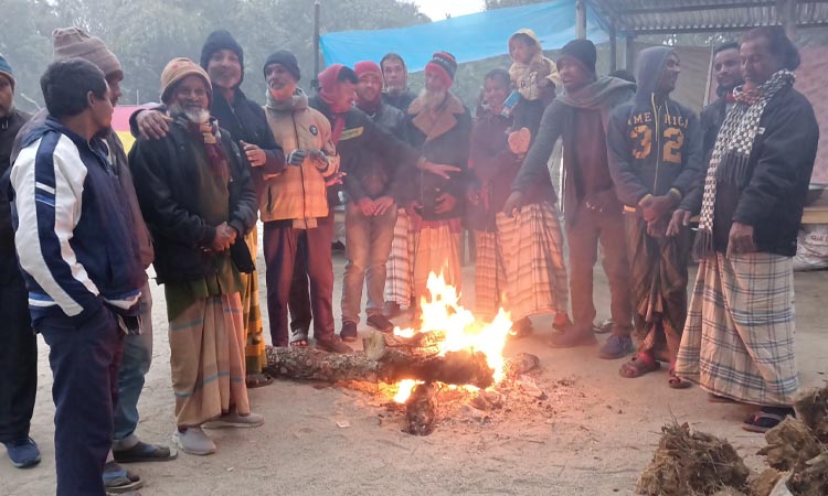 ১০.৭ ডিগ্রি তাপমাত্রায় কাঁপছে ‘হিমালয় কন্যা’ তেতুঁলিয়া