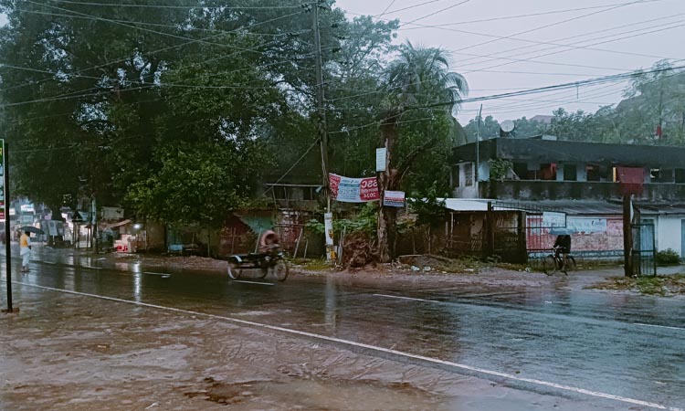 শীতে কাকডাকা ভোরের বৃষ্টিতে বিপর্যস্ত চুয়াডাঙ্গার জনজীবন