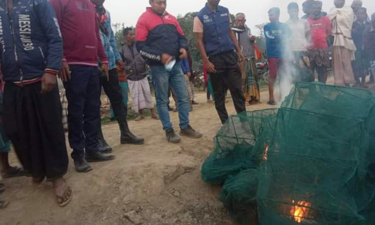 মধ্যনগরে অবৈধ চায়না দোয়ারী জাল পুড়িয়ে ধ্বংস