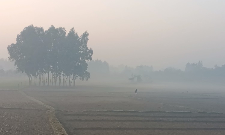 কনকনে ঠান্ডা আর ঘন কুয়াশায় বিপাকে জনজীবন