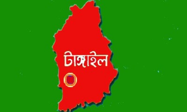 টাঙ্গাইলে স্ত্রীকে শ্বাসরোধ করে হত্যা, স্বামী গ্রেফতার