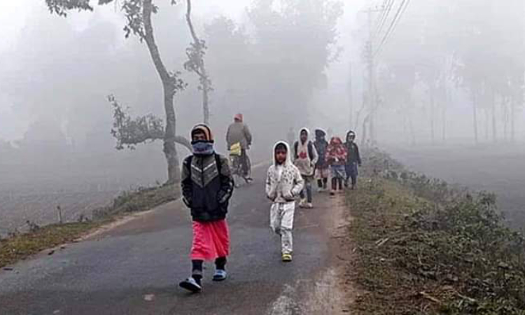 গাইবান্ধায় তীব্র শীতের কারণে প্রাথমিক বিদ্যালয় বন্ধ ঘোষণা