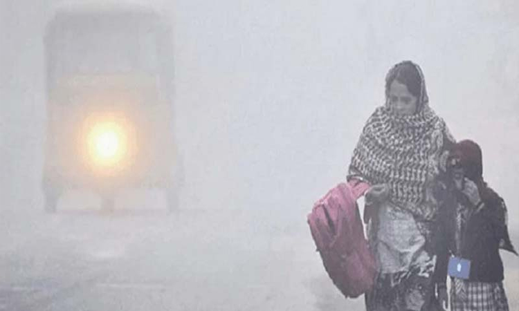 টাঙ্গাইলে শীতে জনজীবন স্থবির, স্কুল-কলেজ বন্ধ ঘোষণা