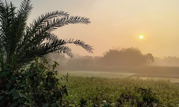 সর্বনিম্ন তাপমাত্রায় কাঁপছে চুয়াডাঙ্গা, বিপর্যস্ত জনজীবন