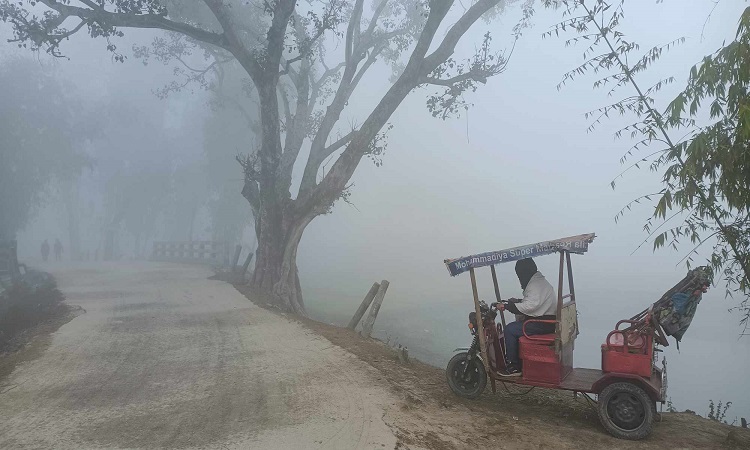 মাঘের শীতে বাঘ নয়, কাঁপছে চিলমারী