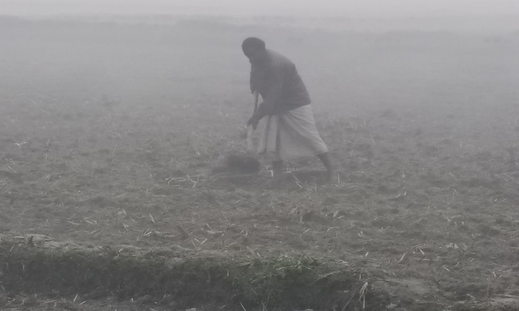 বইছে মৃদু শৈত্য প্রবাহ, হিমেল হাওয়ায় কাবু কুড়িগ্রাম