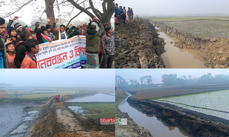 ব্রাহ্মণবাড়িয়ায় ফসলি জমির দখল করে রাস্তা নির্মাণের প্রতিবাদে মানববন্ধন