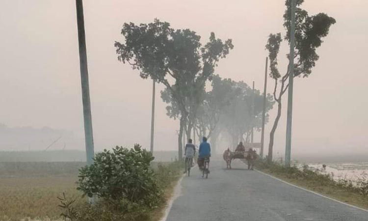 চুয়াডাঙ্গায় তাপমাত্রা বাড়লেও শীত কমেনি