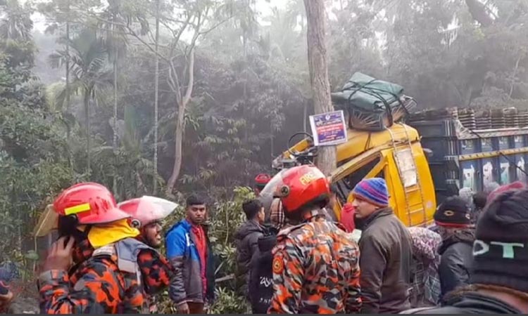 বাগেরহাটে ট্রাক নিয়ন্ত্রণ হারিয়ে খাদে, চালক নিহত