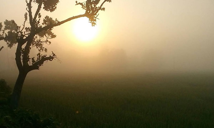 শৈত্যপ্রবাহ প্রশমিত হতে পারে, থাকছে বৃষ্টির সম্ভাবনা