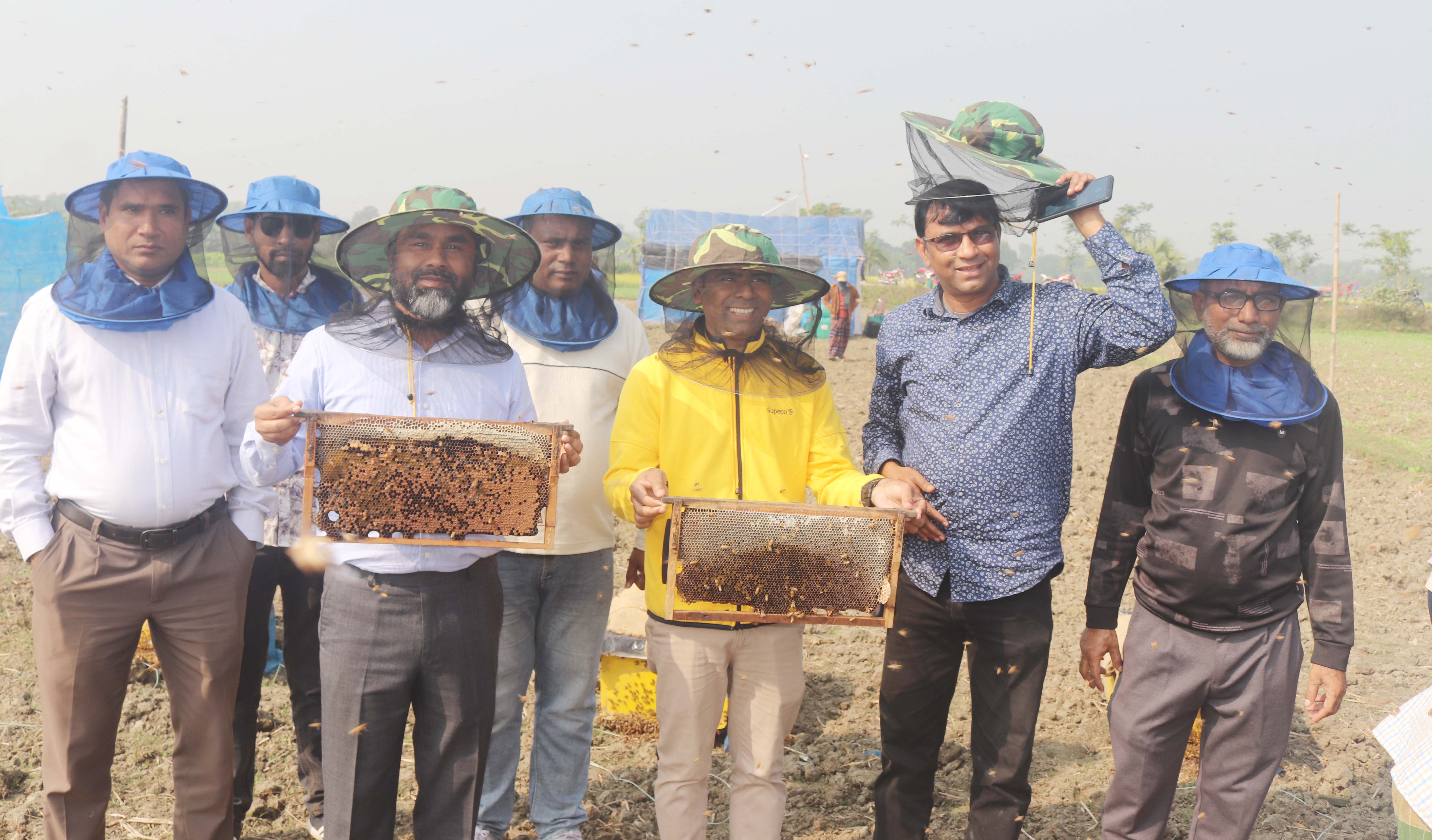 কুষ্টিয়ায় সরিষা ক্ষেতে মধু চাষে মৌয়াল মামুনের সাফল্য