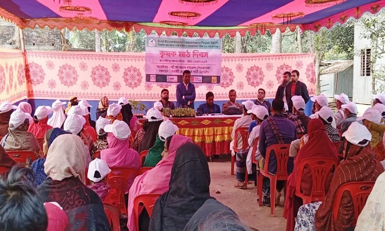 ফরিদপুরে নিরাপদ সবজির চারা উৎপাদনে কৃষক মাঠ দিবস অনুষ্ঠিত