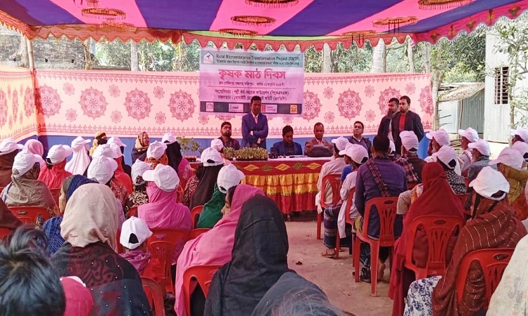 ফরিদপুরে নিরাপদ সবজির চারা উৎপাদনে কৃষক মাঠ দিবস অনুষ্ঠিত