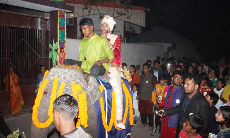 দাদুর ইচ্ছে পূরণ করতে হাতির পিঠে চড়ে নাতির বিয়ে