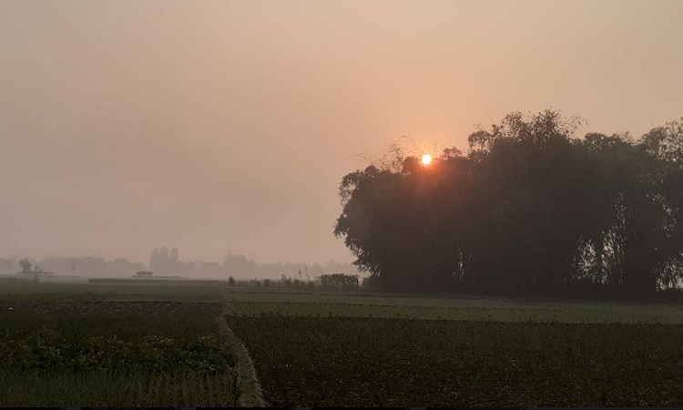 পঞ্চগড়ে তাপমাত্রা আবারও কমে ৮.৮ ডিগ্রি