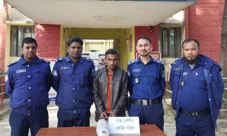 সাদুল্লাপুরে ১ কেজি গাঁজাসহ মাদক কারবারি গ্রেফতার
