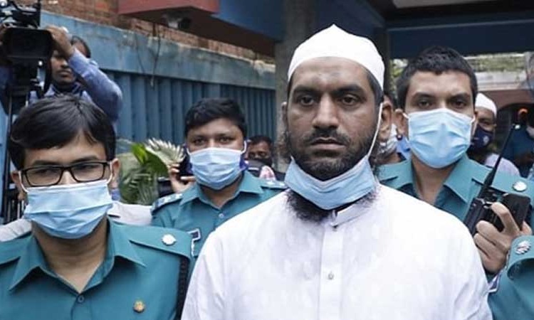 দুই মামলায় মামুনুল হকের জামিন বহাল
