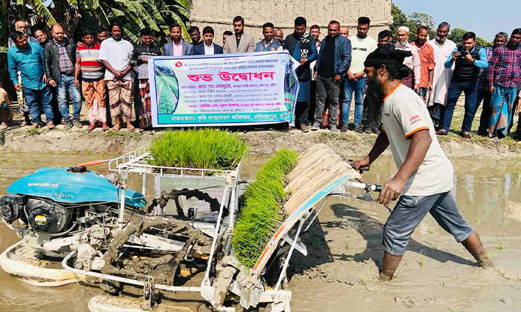 সমলয় চাষাবাদ বাস্তবায়নের লক্ষ্যে বোরো ধানের চারা রোপণ কার্যক্রমের উদ্বোধন