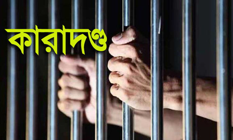 নরসিংদীতে ইঞ্জিনিয়ার হত্যার দায়ে ১০ জনের যাবজ্জীবন