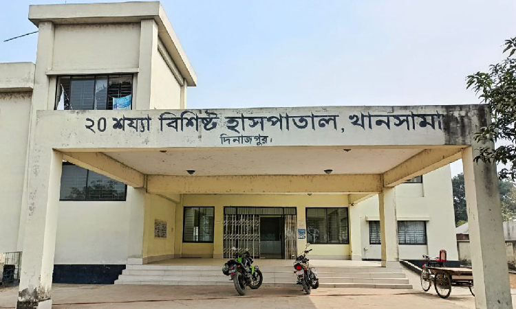 নেই পর্যাপ্ত জনবল, সংকটে চিকিৎসা সেবা