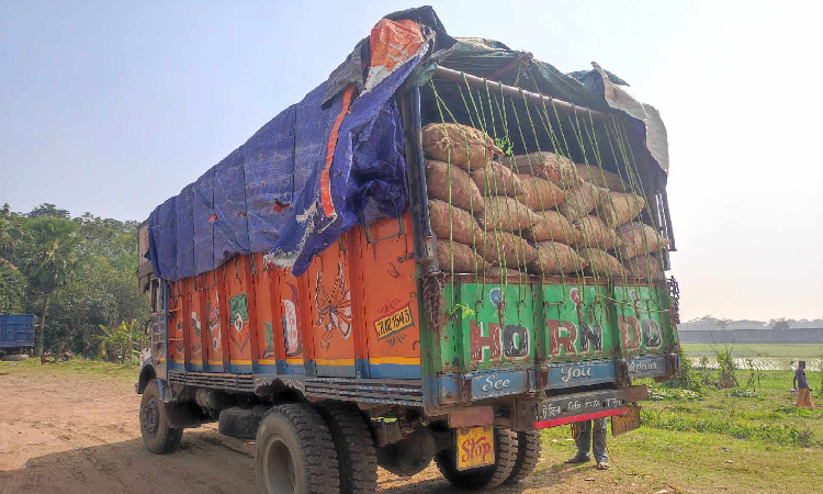 ৭ মাস পর আখাউড়া স্থলবন্দর দিয়ে আমদানি হলো আদা