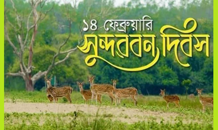 আজ সুন্দরবন দিবস