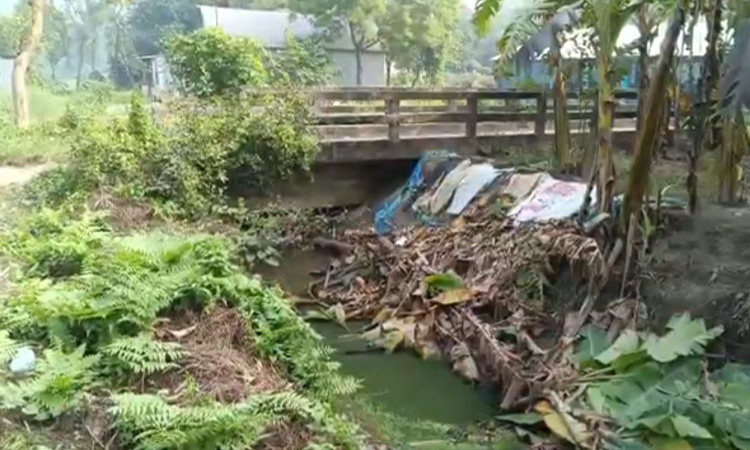 ব্রাহ্মণবাড়িয়ায় দখলদারদের থাবায় নিঃশেষ হওয়ার পথে প্রাচীন বাইপাস খাল