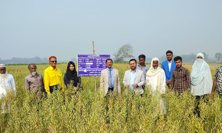 কালিহাতীতে বিনা’র মাঠ দিবস অনুষ্ঠিত