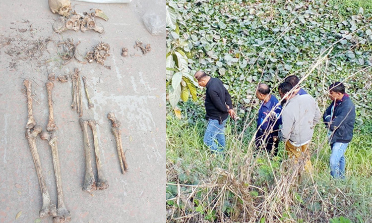 মুন্সিগঞ্জে এক্সপ্রেসওয়ের পাশে মিললো মানুষের হাড়গোড়
