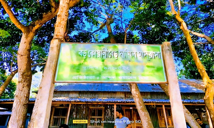 বড় কোয়ালীবেড় দাখিল মাদ্রাসায় নিয়োগ বাণিজ্যের অভিযোগ