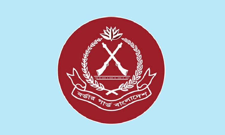 পিলখানা হত্যা দিবসে নানা কর্মসূচি