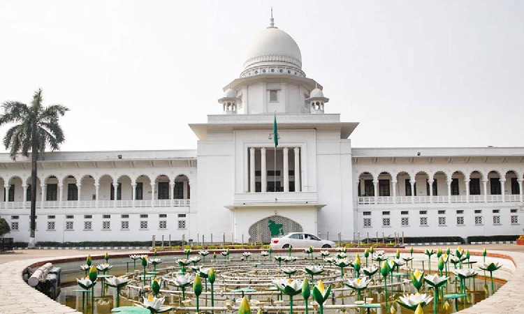 গর্ভের সন্তানের লিঙ্গ প্রকাশ করা যাবে না