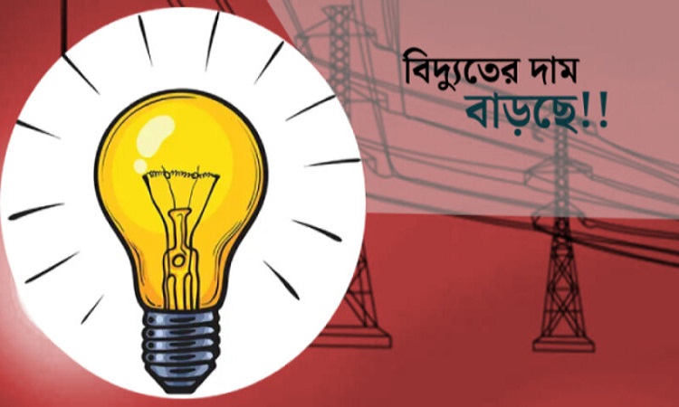 মার্চ থেকে বাড়ছে বিদ্যুতের দাম : প্রতিমন্ত্রী