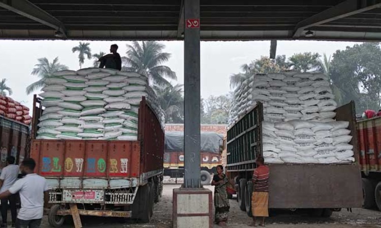 ভারত থেকে এলো টিসিবির ৪০০ মেট্রিক টন ছোলা